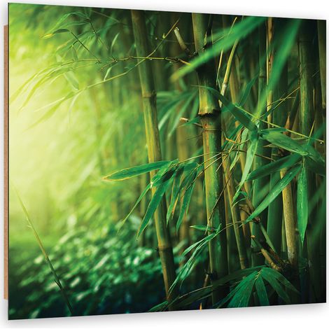 Quadro deco panel, Bamboo nella giungla - 30x30 (1/5)