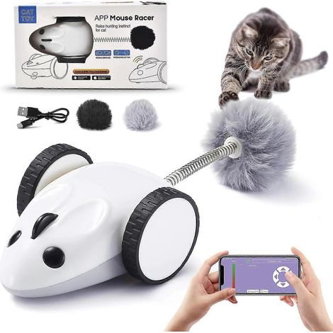 Jouet interactif pour chat d'intérieur : robot souris électrique, connexion Bluetooth et télécommande. (1/5)