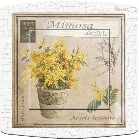 Interrupteur décoré mimosa