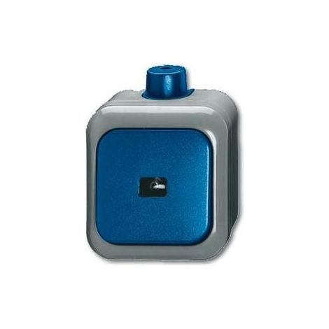 Busch-Jaeger Wipptaster Schliesser 1pol. AP 2621 WDI (1/5)