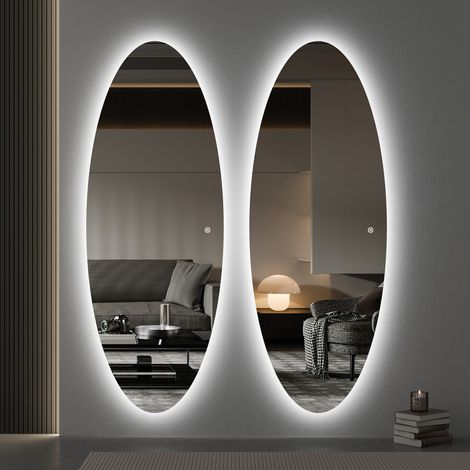 LED Ganzkörperspiegel mit Beleuchtung 165x60 cm Standspiegel Ovaler Spiegel mit Beleuchtung für Hotel Friseursalon Beauty Studio Wohnzimmer (1/5)
