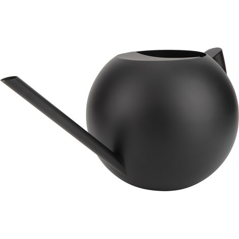 Arrosoir à long bec 1000 ml en acier inoxydable avec pot d'arrosage pour plantes et accessoires de jardinage (1/5)