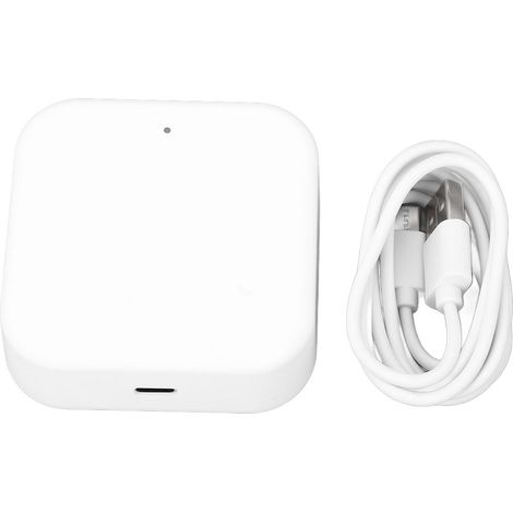 TOIVIZE-Passerelle WiFi TTLOCK Hub pour contrôle à distance et vocal via application de serrure intelligente (1/4)