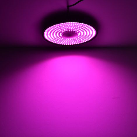 Vollspektrum LED-Wachstumslampe 200 W für Zimmerpflanzen, Sukkulenten und Blumen – anpassbare rote und rosa Beleuchtung – ideal für Hydrokultur und Heimgewächshäuser