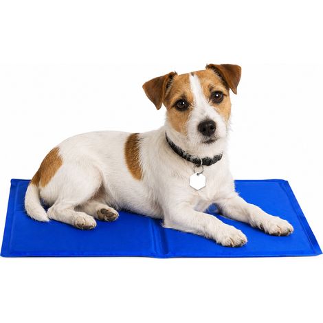 lionto Kühlmatte, angenehme Abkühlung für Hunde & Katzen, selbstkühlend & sicher, ideal für Sommer & Reisen, 90x50 cm, blau