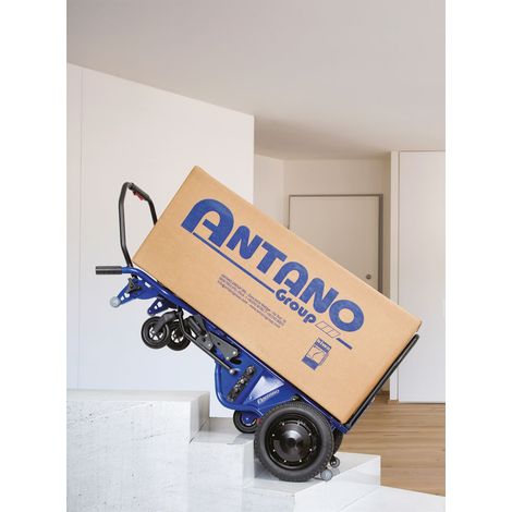 Carrello Saliscale a batteria portata 250 kg. Donkey 250 ANTANO (1/5)