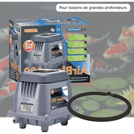 Kit Aérateur Bulleur Bassin Profond 3000 l/h + Diffuseur 35 cm. Pompe à air bassin avec accessoires (1/4)