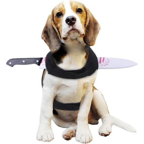 Chien Halloween Gilet Ensanglanté Déguisement Effrayant Réaliste Accessoire Cosplay Animal Prop Accessoire Farce (1/5)