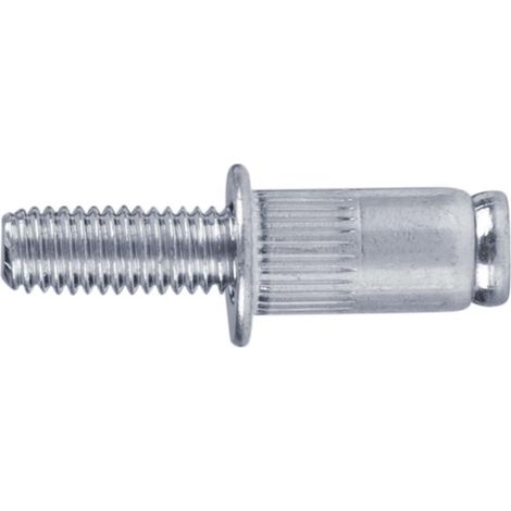 Juego de 50 tornillos de acero para remachar FORTUM, M5 x 12 mm 4770675