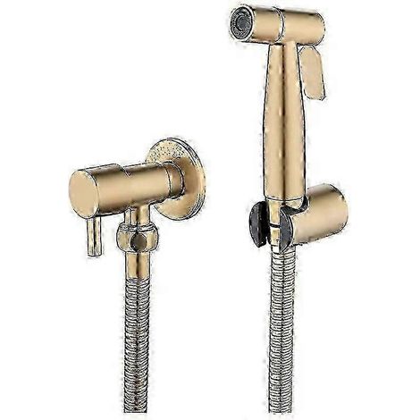 Kit de bidet et douchette WC en acier inoxydable (doré) N (1/3)