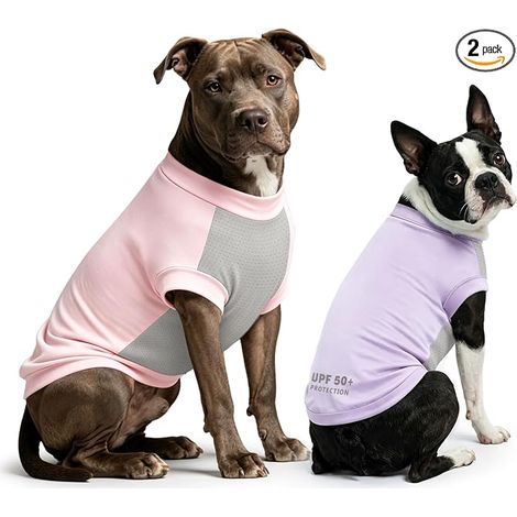 Dog Shirt T-Shirt Vest Summer Clothes Dry Quick Dogs Comfort Shirts for Small Dogs Large Cats (1/5)