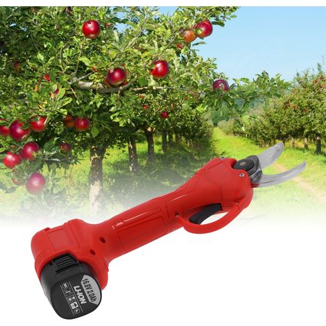 Sécateur électrique rechargeable portable, coupe-branches pour arbres et jardin (1/5)