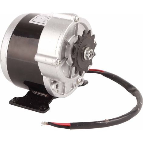 12V 250W 13-Zahn-Gleichstrommotor mit Bürsten und Getriebe für Elektrofahrräder, leichte Motorräder und Landmaschinen (1/5)