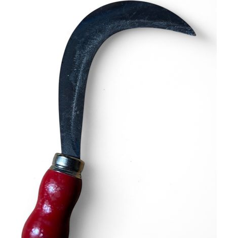 Roncolina Professionale con Manico Rosso, Lama Curva 12 cm, Made in Italy