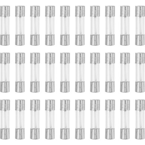 Fusibles Verre Soufflage Rapide 25A 250V 5X20mm 30Pcs Auto Métal, Verre, Ton Argent, Transparent, Protection Contre Surcharge, Marquage Clair (1/5)