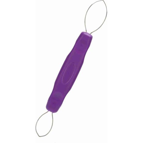 Éplucheur à Raisins Violet Mini Portable en Acier Inoxydable pour Cuisine (1/5)