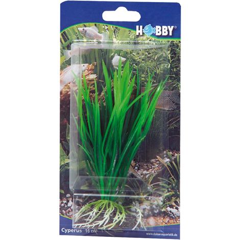 Hobby Cyperus, 16 cm - künstliche Aquariumpflanze