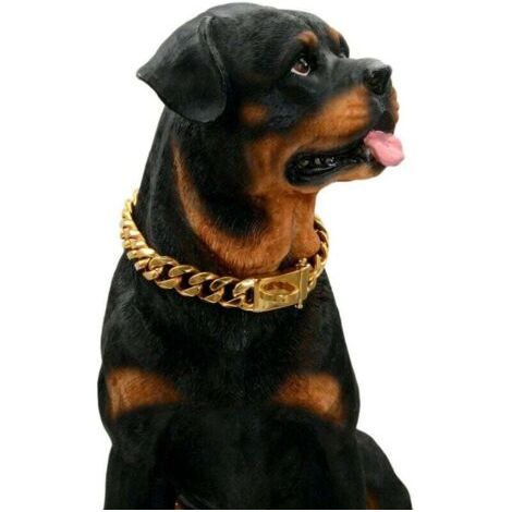 Collier en pour Chien en Or avec Boucle de Conception sécurisée, résistant à la Mastication(Or, 18'') (1/5)