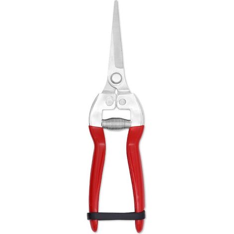 Ciseaux de jardin, sécateur pour arbres fruitiers et bonsaïs-Online Store (1/5)