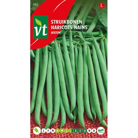 Haricots Nains Ampère - Ca. 25 gr (Livraison Gratuite) (1/2)