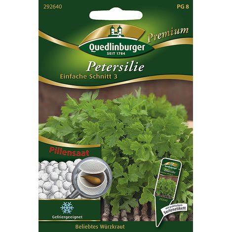 Quedlinburger Saatgut – Persil plat « Einfache Schnitt 3 » – Graines enrobées, graines d'herbes aromatiques, feuilles lisses