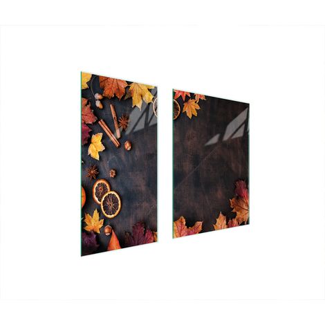 Plaque de protection en verre 75x52 feuilles (1/5)
