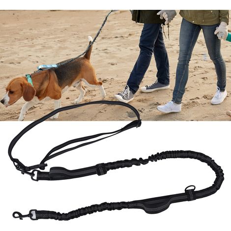 Reflektierende, einziehbare Hundeleine aus schwarzem Nylon – Verstellbares Modell mit zwei Längen – 1,4 m/2,0 m (1/5)