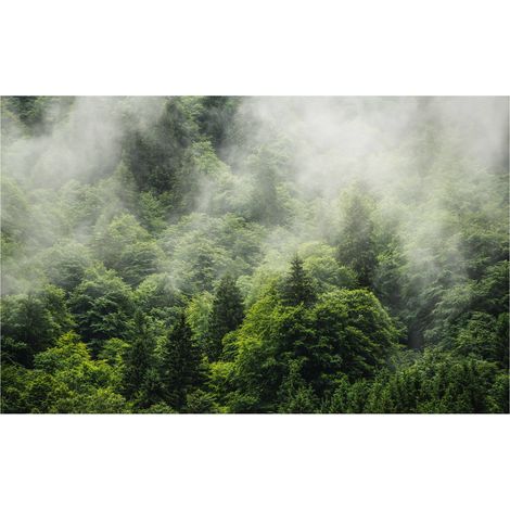 Komar Wandtapete - Forest Land - 250 x 400 cm - Vlies Digitaldruck - Naturmotiv (1/5)