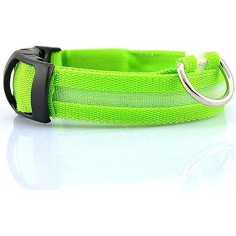 Collare per cani con luce LED, taglia L (45/53 cm), luce per cani, batterie incluse, verde (1/5)