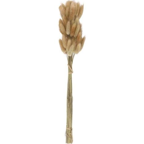 50 Pièces Bouquet de Fleurs Séchées Naturelles Couleurs Crues pour Décoration Mariage Herbe Queue de Lapin-Crezuo (1/4)