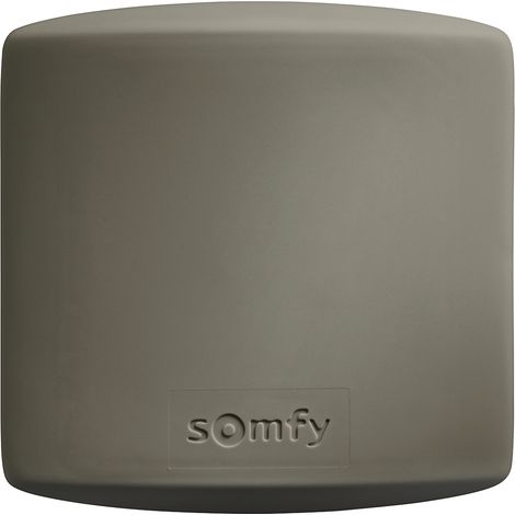 SOMFY 1841229 - Récepteur accès compatible io - pilote un moteur non-io avec une télécommande io