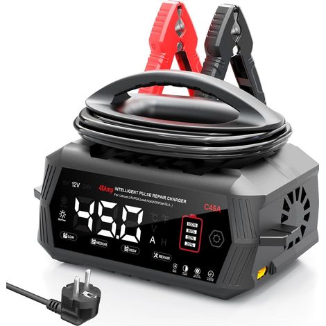 Chargeur de batterie de voiture 45 A 6 V/12 V/24 V avec écran LCD, entretien de la batterie, charge de maintien et désulfatation pour AGM, lithium, LiFePO4, plomb-acide (moto, camping-car (1/5)