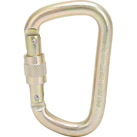 Mousqueton en D à vis extérieur Master Lock haute résistance pour escalade et alpinisme (Doré) (1/5)
