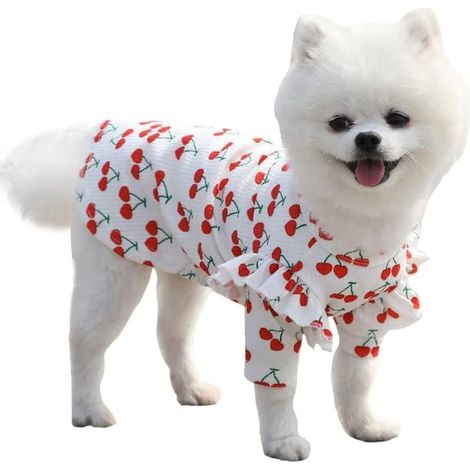 T-shirt pour chiot, vêtements pour chiots femelles Chihuahua, doux et confortable pour chiens de petite et moyenne taille (moyen, blanc) (1/3)
