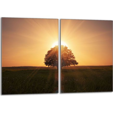 Piastra protettiva in vetro per stufa 2x40x52 Tree (1/5)