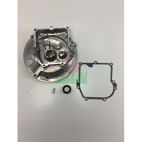 Base BRIGGS & STRATTON 590569 - 051348 (1/4)