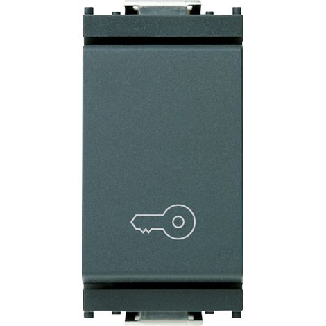 VIMAR - 16080.P Pulsante 1P NO 10A chiave grigio