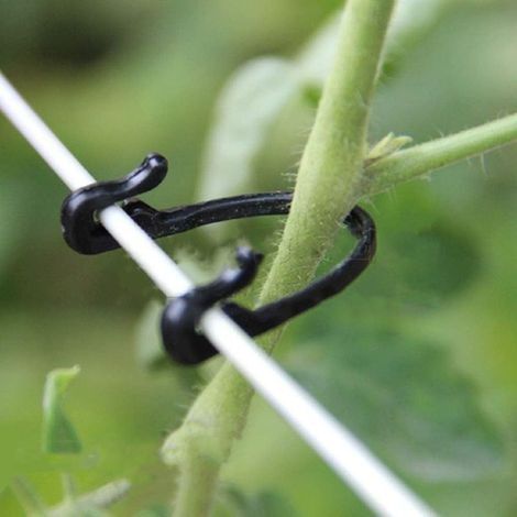 Plantes de jardin boucles attachées en plastique pinces de support de plante plante crochet fixe pour fleur tomate vigne légumes agricole serre Kit de culture 1OOpcs (1/4)
