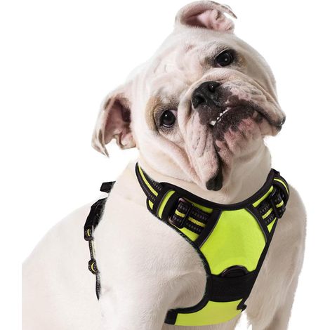 Harnais Chien, Harnais Anti Traction pour Chien Réfléchissant Réglable, Facile à Mettre, avec Poignée Contrôle, Arnet pour Chiens Solide Respirant, Harnet pour Chiens Moyen et Grand, Vert, M (1/5)