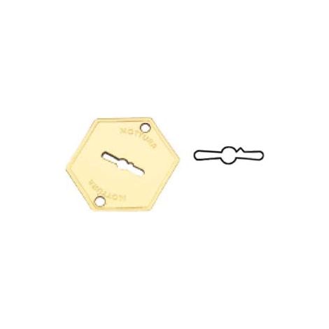 MOSTRINA ESTERNA IN OTTONE 95223 mm.52x64 (95223000C1) MOTTURA