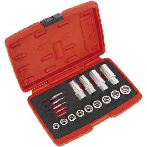 Sealey Premier Bolt, Stud & Screw Extractor Set 18pc AK751 (1/2)
