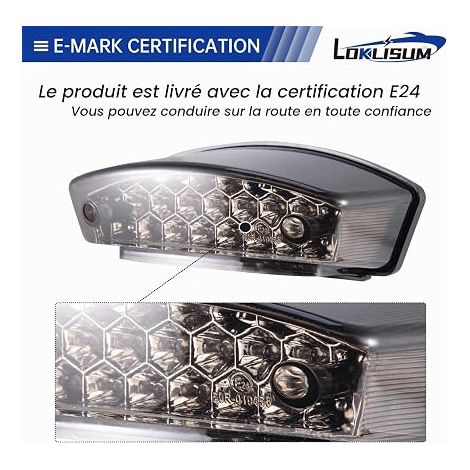 Motorcycle Tail Light, License Plate Light, 21 LED Universal Motorcycle Brake Light ATV Quads Scooter Street Bike Cruiser Cafe Racer Dirt Bike (1/4)