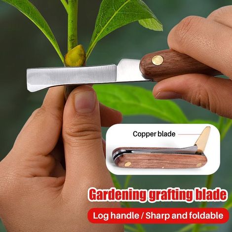 [Ciseau de jardin] [OUTDOOR PRO] [GX-200] Sécateur de greffage professionnel avec lame en acier inoxydable de qualité supérieure et poignée bois ergonomique, taille 16,2 cm, couleur argent, outil de j (1/5)