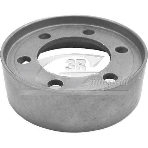 3RG 10653 POLEA BOMBA AGUA