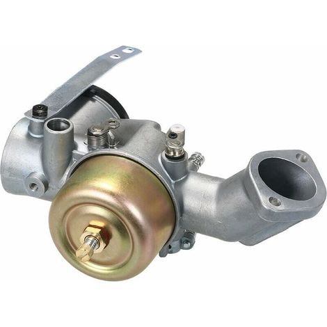 Carburateur pour Briggs & Stratton 491031, 490499, 491026, 281707 – Joint inclus, construction métal – Installation facile pour moteur 12 HP (1/5)