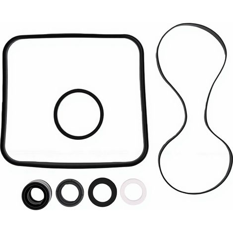 Kit de réparation de joints toriques pour pompes de piscine Hayward Super SP2600, SP1600, SP2600X, 1600 et 1600X - Accessoires d'entretien (1/5)