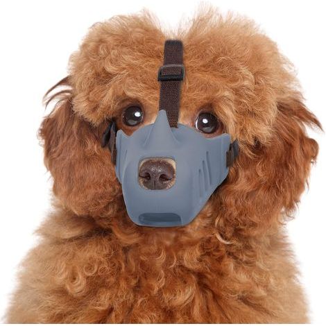 Muselière anti-morsure pour chien - muselière pour chien avec sangle en cuir réglable, revêtement en silicone respirant, cage pour animaux de compagnie, mordille les chiens de petite à moyenne taille (1/5)