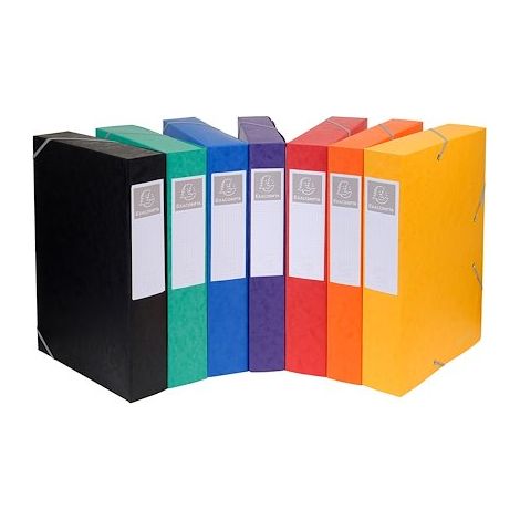 Exacompta 16000H boîte à archive 500 feuilles Multicolore Papier (1/5)