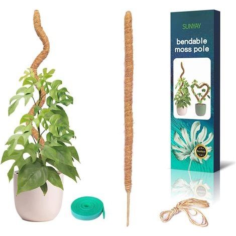 1 Pièces 110 cm(44 Pouces) Tuteur Coco Pliable Bâton de Mousse de Coco avec pour Monstera Creepers Plantes Grimpantes avec 1 Rouleau Serre Câbles et 1.5m Ficelle de Jute (1/5)