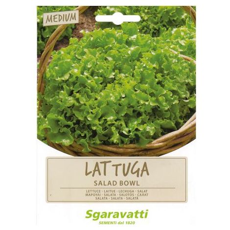 SEMI PER ORTAGGI E VEGETALI lattuga salad bowl 20 PZ